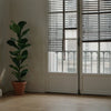 Venetian Blinds for French Doors: Slats That Move With the Door