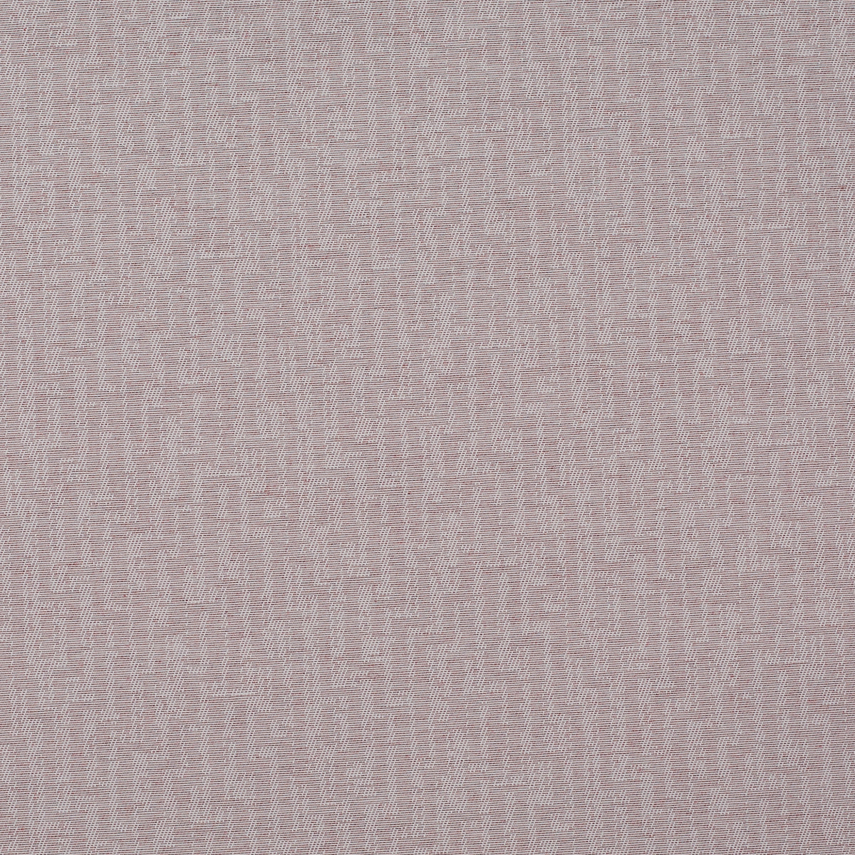 Blake Plum Roller Blind