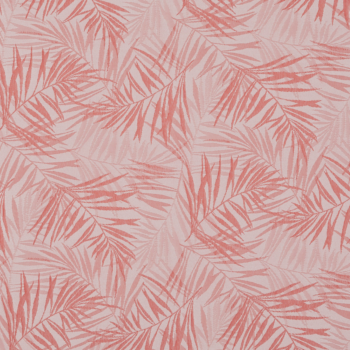 Hothouse Chilli Roller Blind