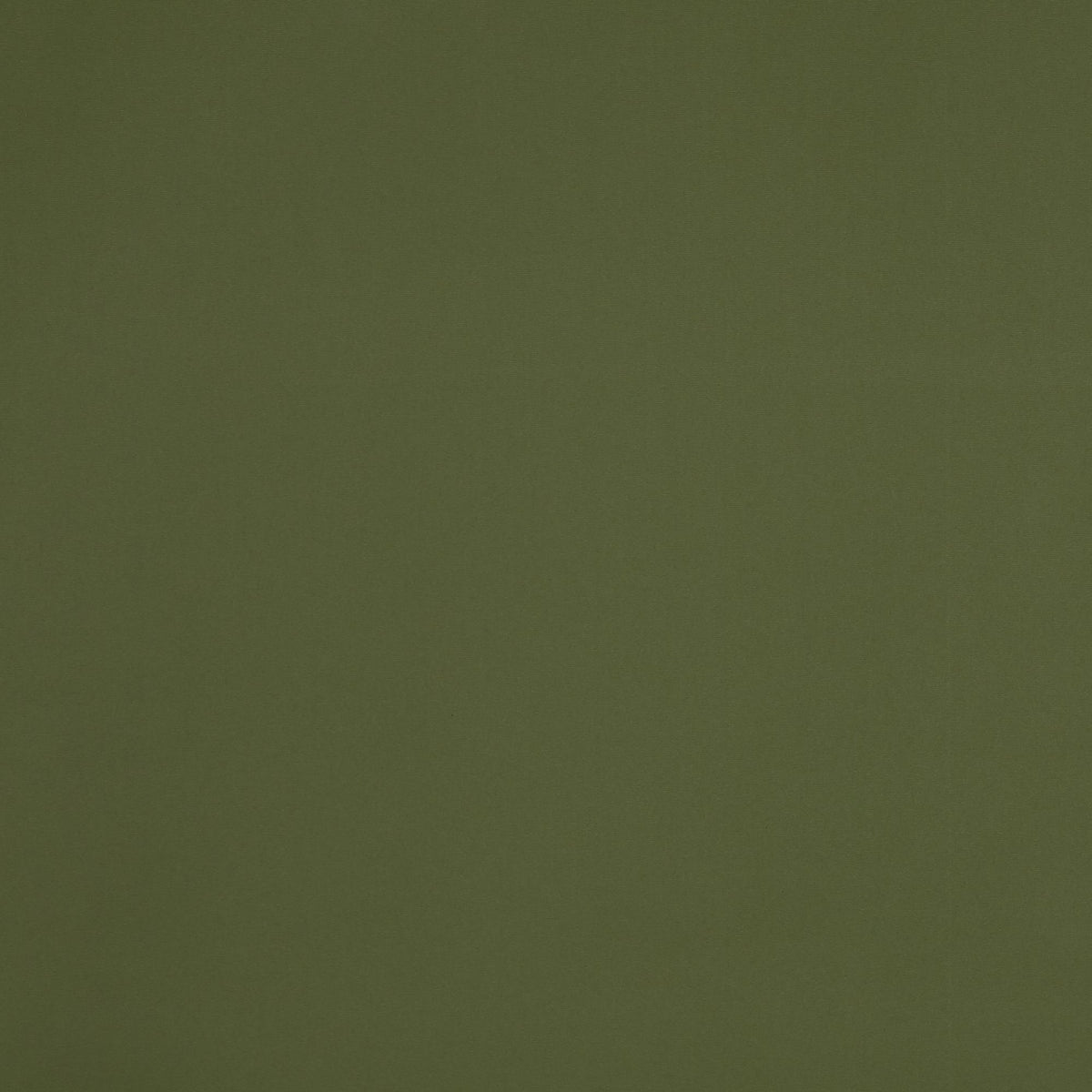 Palette Forest Green Electrical Roller Blind