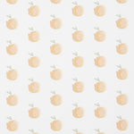 Selene Apricot Electrical Roller Blind