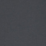 Banlight Duo Fr Charcoal Vertical Replacement Blind Slat