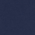 Banlight Duo Fr Navy Vertical Replacement Blind Slat