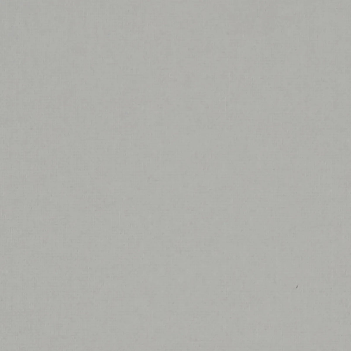 Banlight Duo Fr Silver Vertical Blind