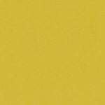 Palette Fr Sunshine Vertical Replacement Blind Slat