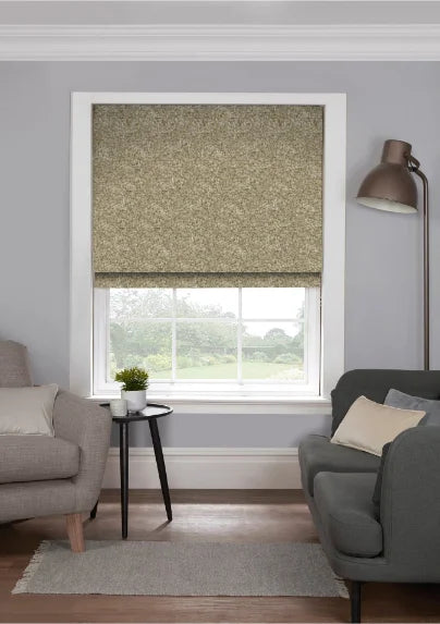 EB Boucle Dijon Roman Blind