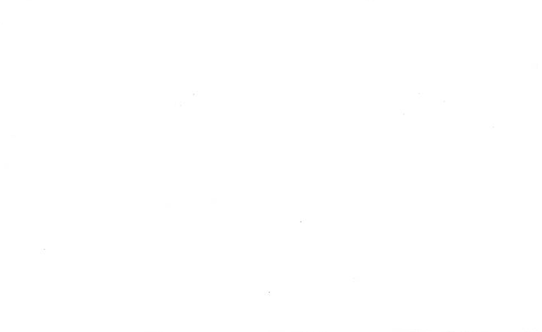 Rose Omega Semi Blackout White Electrical Day and Night Blind