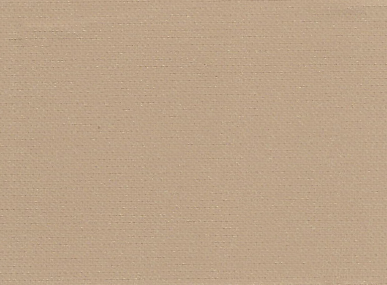 Rose Omega Semi Blackout Beige Electrical Day and Night Blind