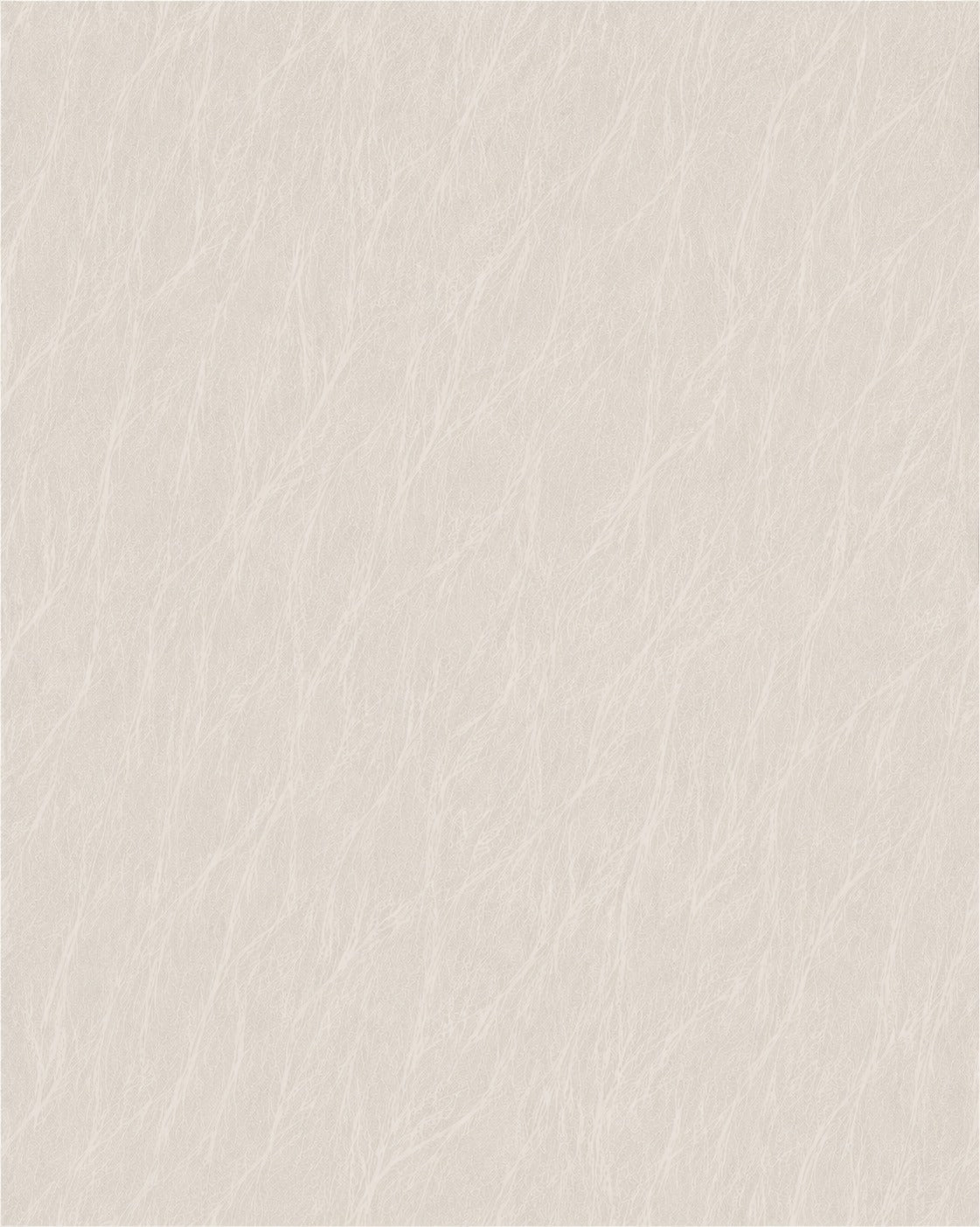 Havana PVC White Roller Blind