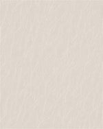 Havana PVC White Roller Blind