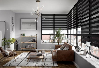 Day and Night Blinds