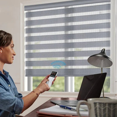 Motorized Day and Night Blinds