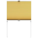 Easy Stick Blackout Appollo Citron