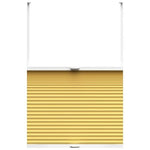 Easy Stick Blackout Appollo Citron