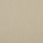 Perrie Lemon Electrical Roller Blind