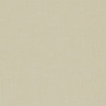 Banlight Duo Fr Beige Vertical Replacement Blind Slat