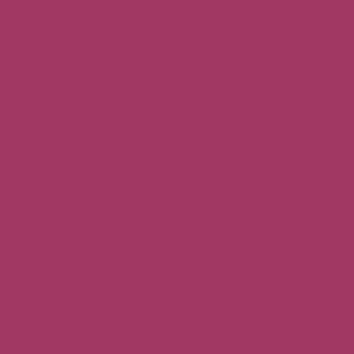 Unity Polaris Rasberry Electrical Roller Blind