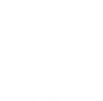 Rose Semi Blackout Pearl Day and Night Blind