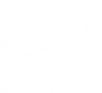 Rose Semi Blackout White Electrical Day and Night Blind